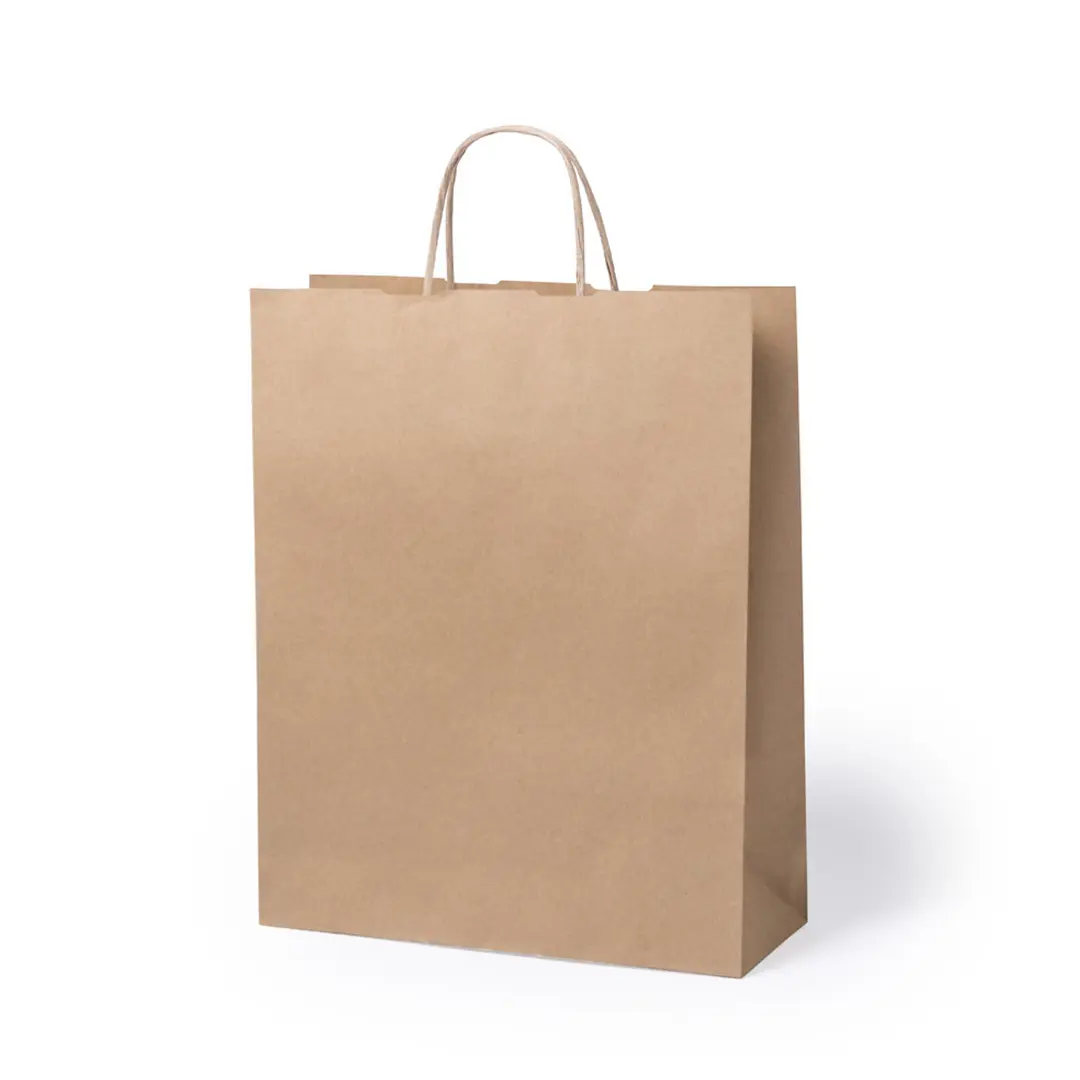 Bolsa de papel kraft marrón con asas de cordón sobre fondo blanco