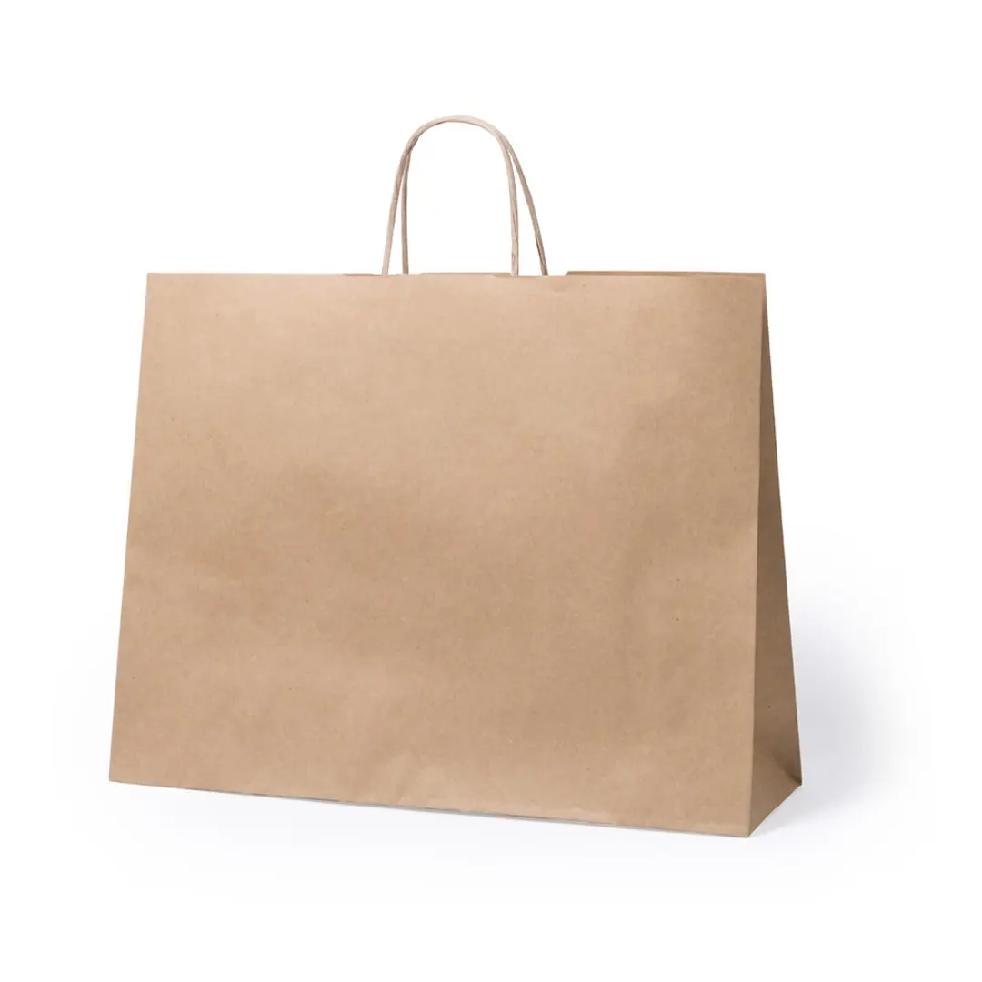 Bolsa de papel kraft marrón con asas sobre fondo blanco