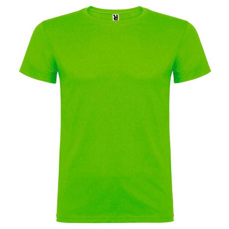 VERDE FLASH