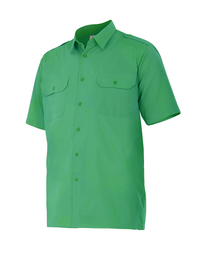 Verde